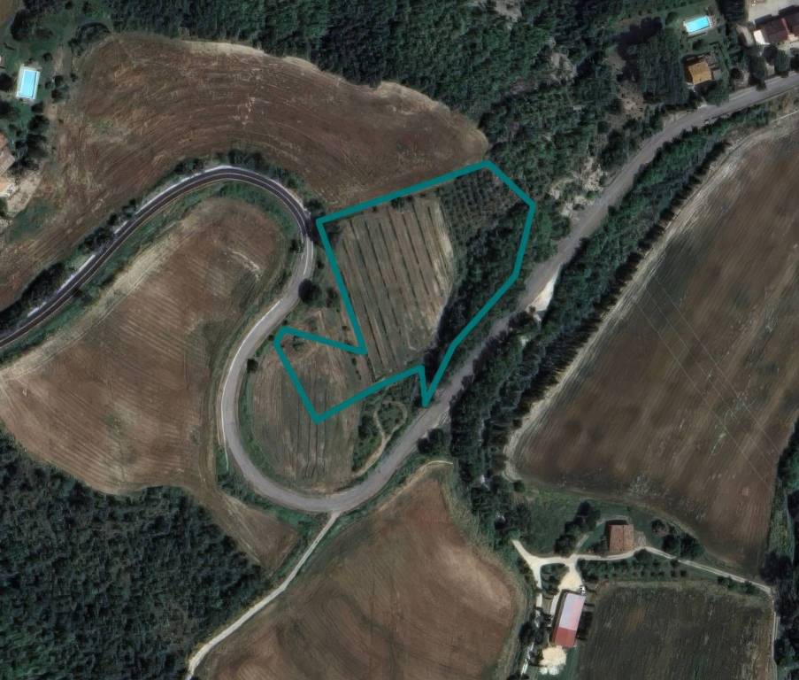 terreno agricolo in vendita a San Venanzo in zona Rotecastello