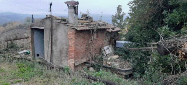 negozio in vendita a San Venanzo