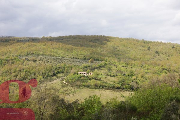 casale in vendita a San Venanzo