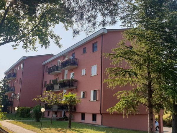 appartamento in vendita a San Venanzo