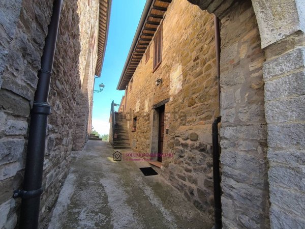 esavano in vendita a San Venanzo in zona Civitella dei Conti