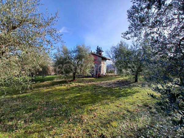 terreno agricolo in vendita a San Venanzo in zona Poggio Aquilone