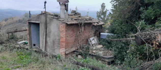negozio in vendita a San Venanzo
