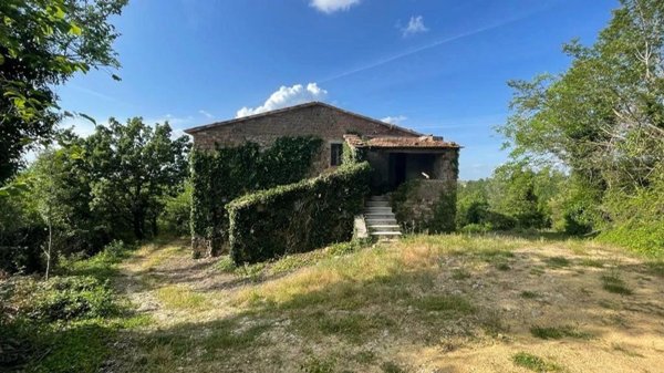 appartamento in vendita a San Venanzo in zona Ripalvella