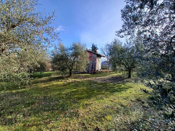 terreno agricolo in vendita a San Venanzo in zona Poggio Aquilone