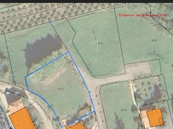 terreno agricolo in vendita a San Venanzo