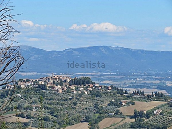 appartamento in vendita a San Venanzo in zona Ripalvella