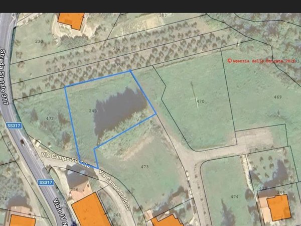 terreno agricolo in vendita a San Venanzo