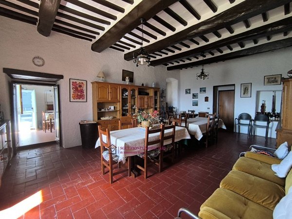 esavano in vendita a San Venanzo in zona Civitella dei Conti