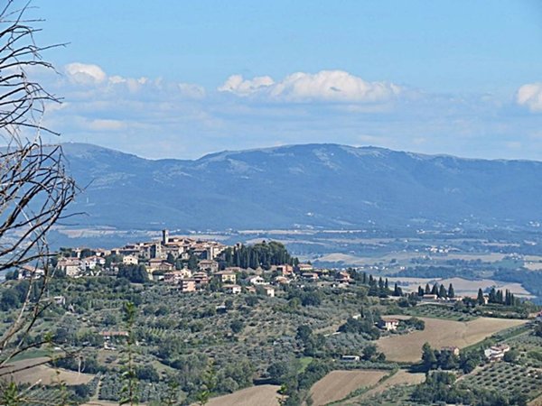casa indipendente in vendita a San Venanzo in zona Ripalvella