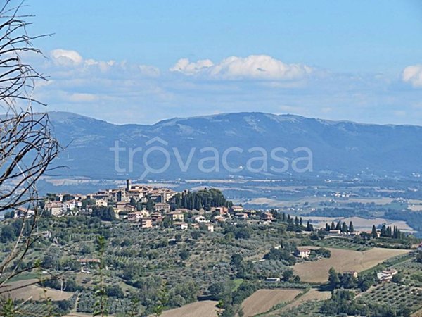 casa indipendente in vendita a San Venanzo in zona Ripalvella