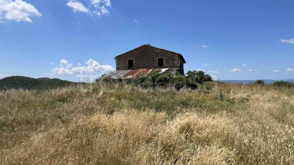 casa indipendente in vendita a San Venanzo