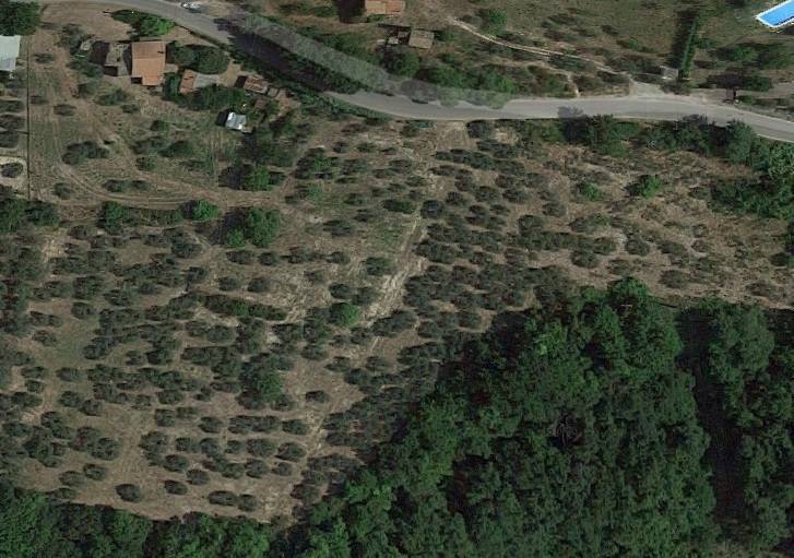 terreno agricolo in vendita a Stroncone