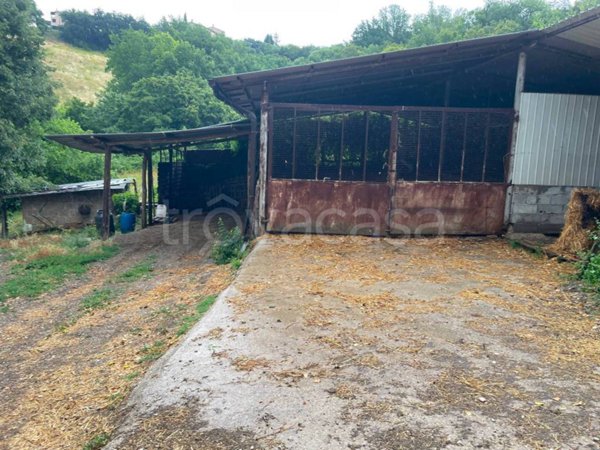 terreno agricolo in vendita a Stroncone