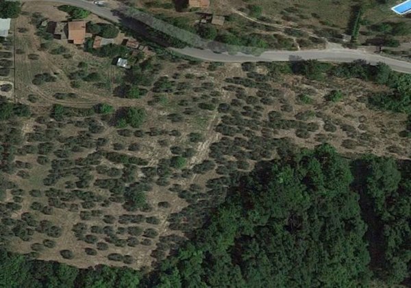 terreno agricolo in vendita a Stroncone
