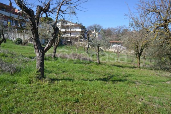 terreno agricolo in vendita a Stroncone
