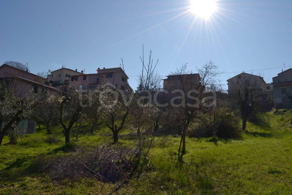 terreno agricolo in vendita a Stroncone