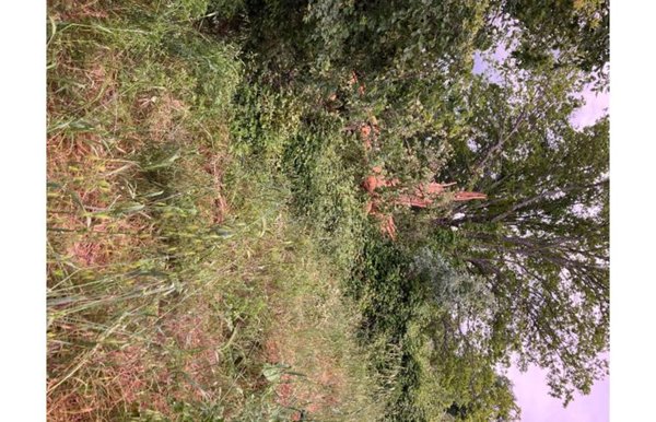 terreno edificabile in vendita a Stroncone