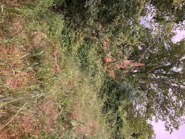 terreno edificabile in vendita a Stroncone