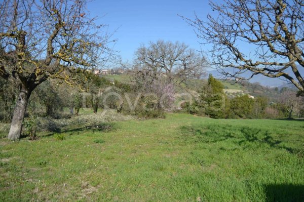 terreno agricolo in vendita a Stroncone