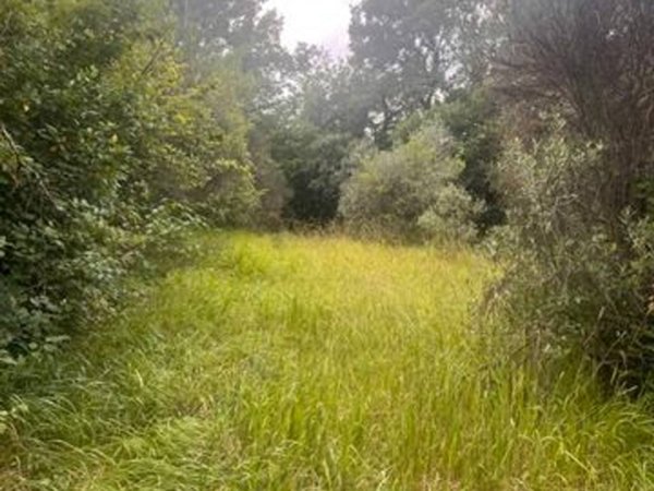 terreno agricolo in vendita a Stroncone