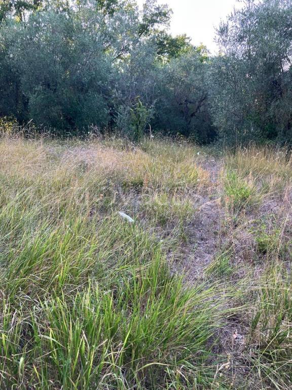 terreno agricolo in vendita a Stroncone in zona Vasciano