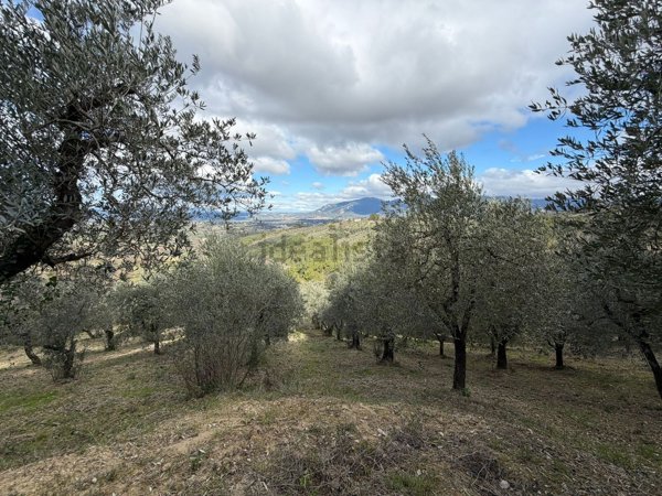 terreno in vendita a Stroncone in zona Vasciano