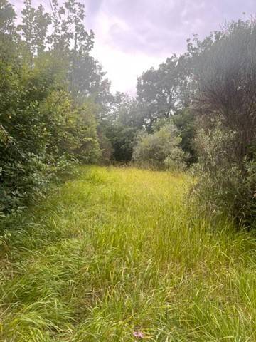 terreno agricolo in vendita a Stroncone