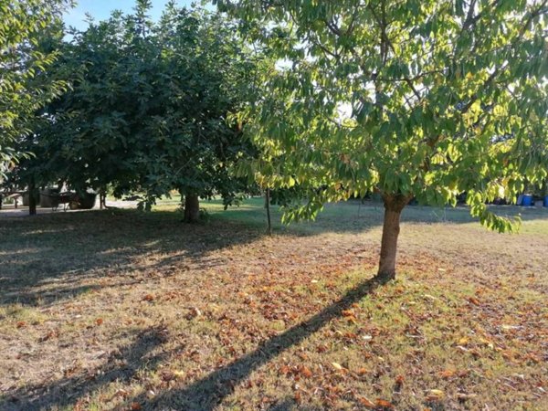 terreno agricolo in vendita a Terni in zona Collescipoli