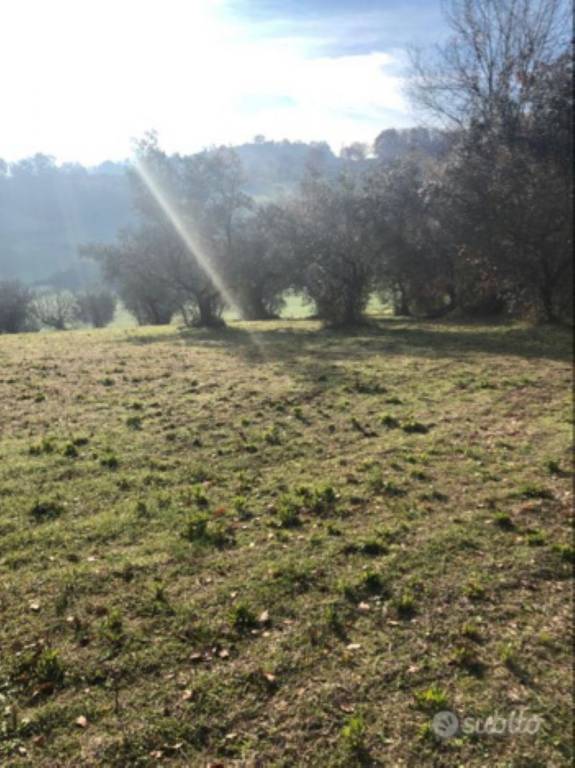 terreno agricolo in vendita a Terni