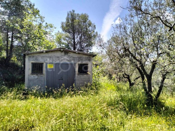 terreno agricolo in vendita a Terni in zona Collestatte