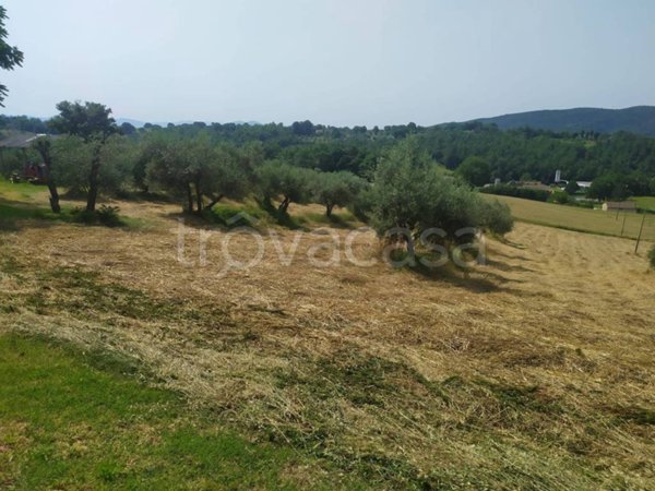 casa indipendente in vendita a Terni