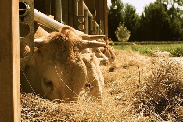negozio in vendita a Terni