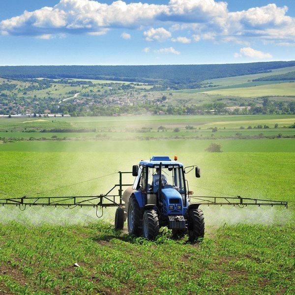 negozio in vendita a Terni