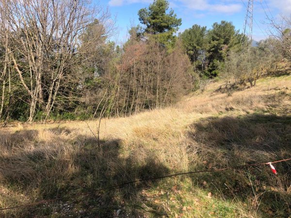 terreno agricolo in vendita a Terni