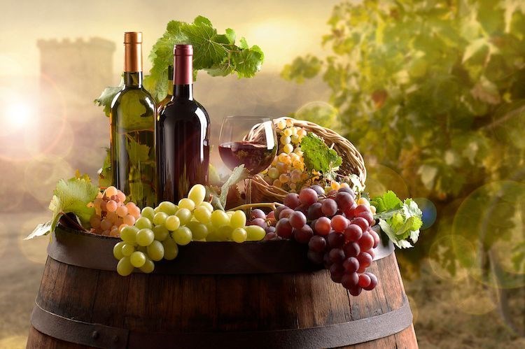 negozio in vendita a Terni