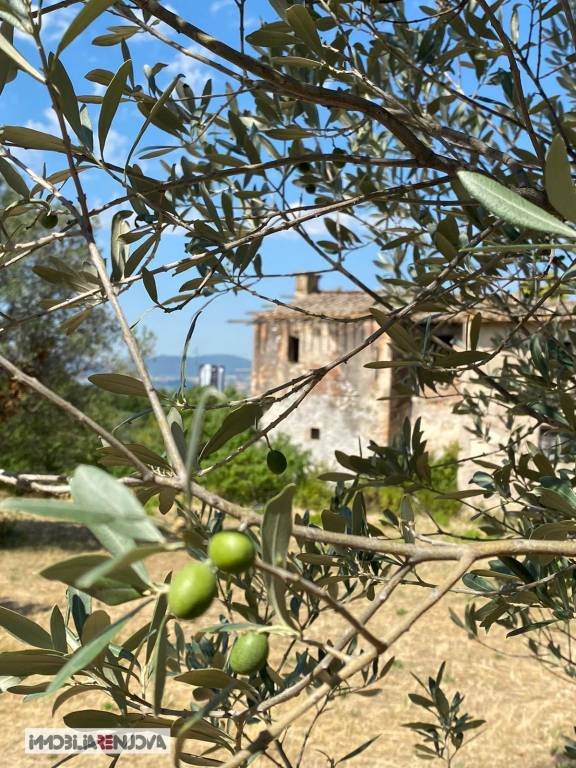 terreno agricolo in vendita a Terni in zona Rivo