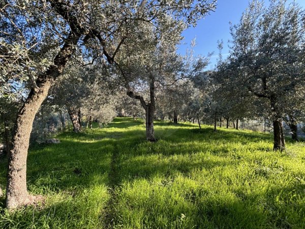 terreno agricolo in vendita a Terni in zona Marmore