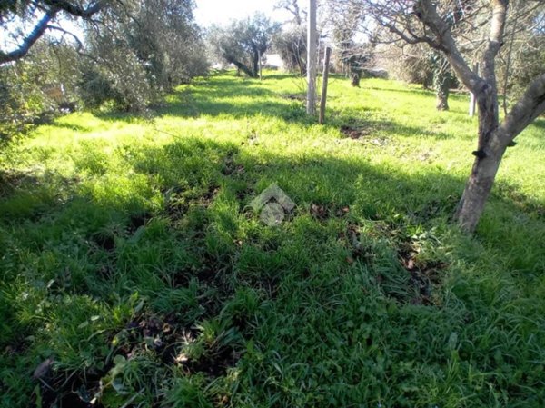 terreno agricolo in vendita a Terni in zona Rivo