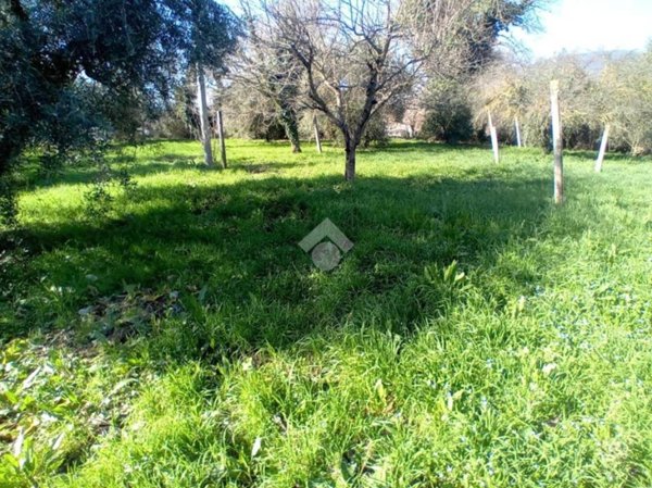 terreno agricolo in vendita a Terni in zona Rivo