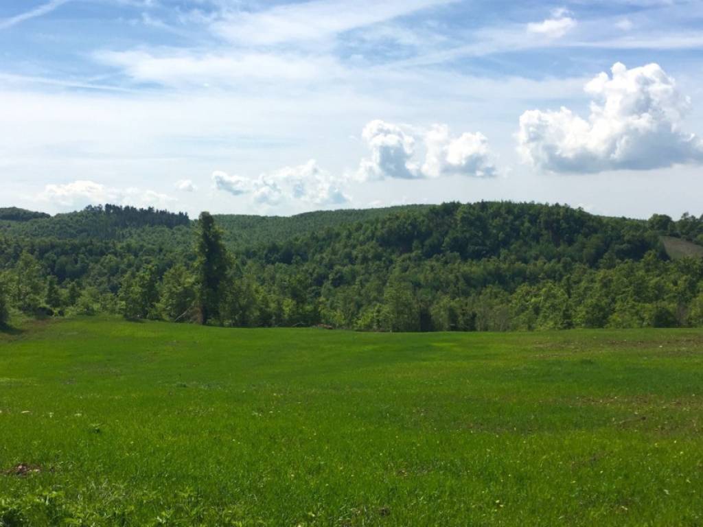 terreno agricolo in vendita a Terni in zona Piedimonte