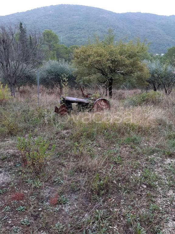 terreno agricolo in vendita a Terni in zona Giuncano Scalo