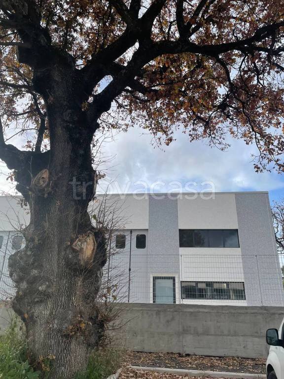 appartamento in vendita a Terni in zona San Carlo