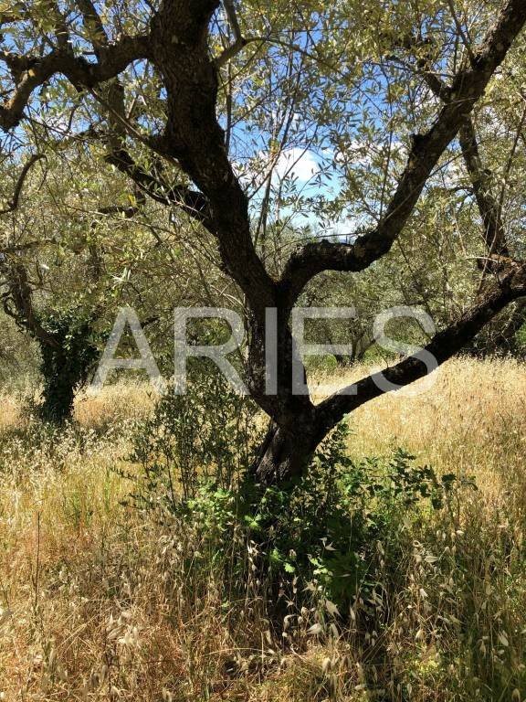 terreno agricolo in vendita a Terni in zona Centro Città