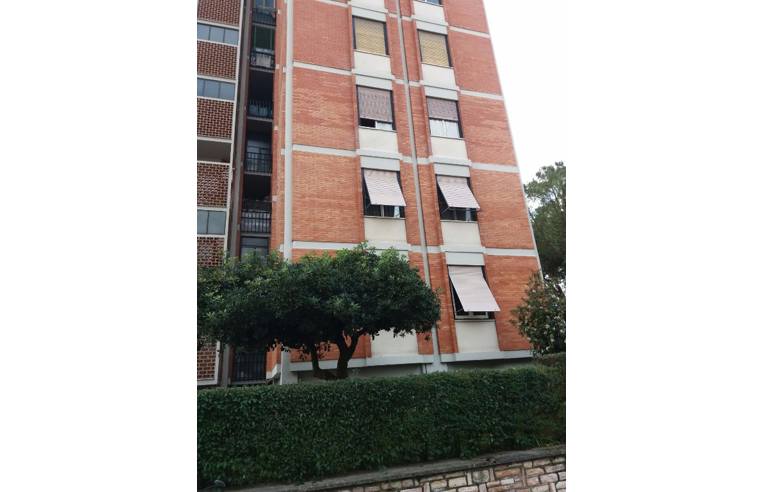 appartamento in vendita a Terni