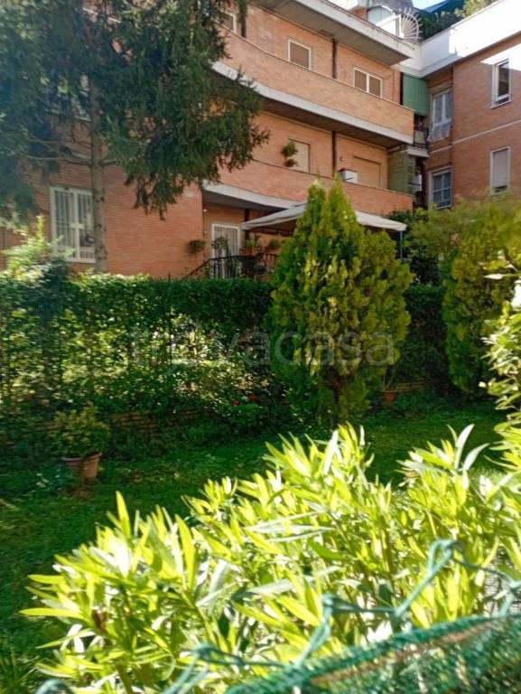 appartamento in vendita a Terni in zona Centro Città