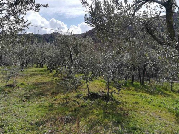 terreno agricolo in vendita a Terni in zona Papigno