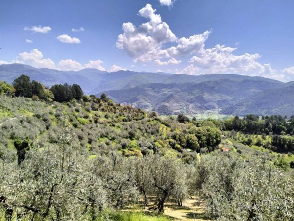 terreno agricolo in vendita a Terni in zona Torreorsina