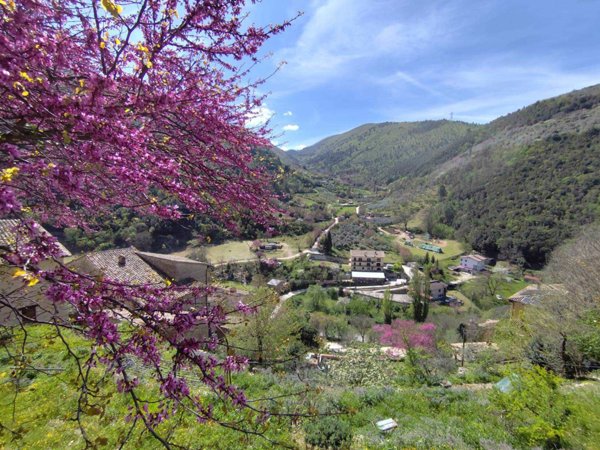 negozio in vendita a Terni