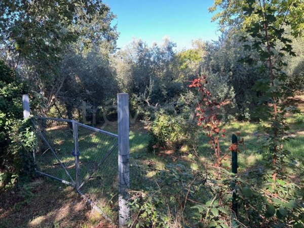 terreno agricolo in vendita a Terni in zona Gabelletta